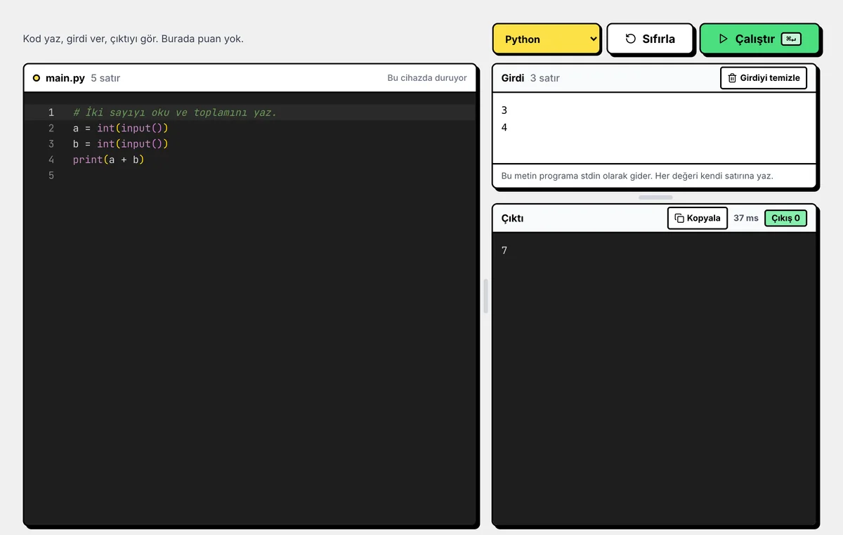 Serbest kod alanında Python programı, girdi ve çıktı